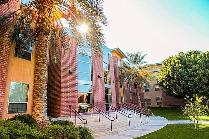 Beautifully landscaped apartment complex with red brick exterior and sunlit palm trees, offering a serene and inviting living environment.