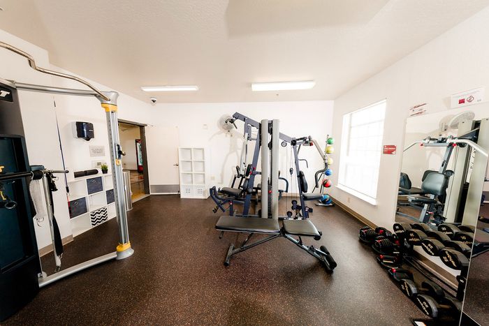 Well-equipped fitness center with modern gym equipment and bright natural lighting.