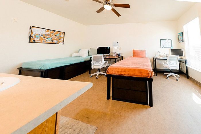 Bright and inviting room with two twin beds, study desks, and natural light, ideal for students or professionals.