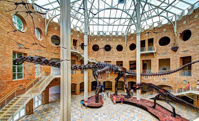 Stunning museum interior featuring towering dinosaur skeletons under a magnificent glass roof with exposed brick walls and elegant staircases.