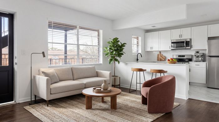 Modern living space featuring a cozy sofa, stylish armchair, and open kitchen with sleek appliances and bar seating.