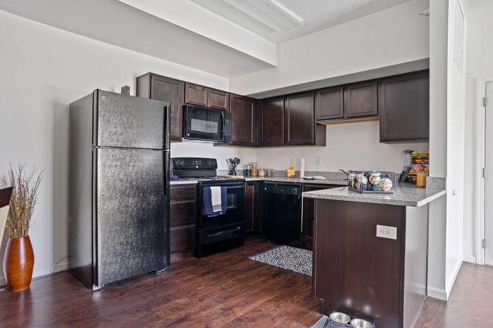 Modern kitchen with sleek dark cabinetry, spacious countertops, and stainless steel appliances, perfect for culinary enthusiasts.