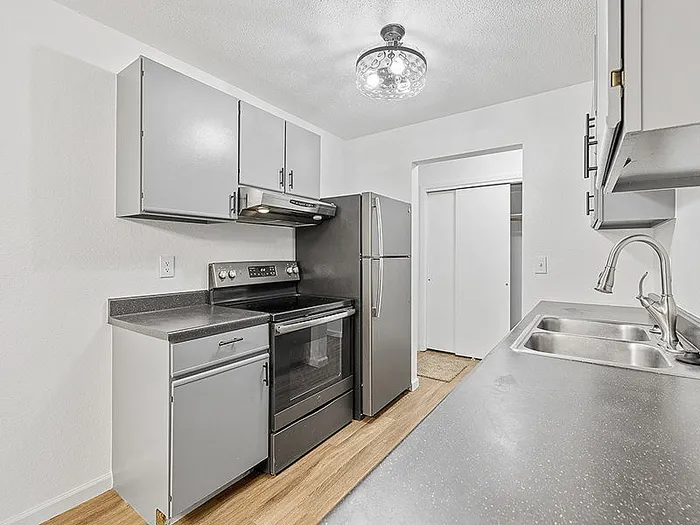 Modern kitchen with sleek gray cabinets, stainless steel appliances, and elegant overhead lighting.