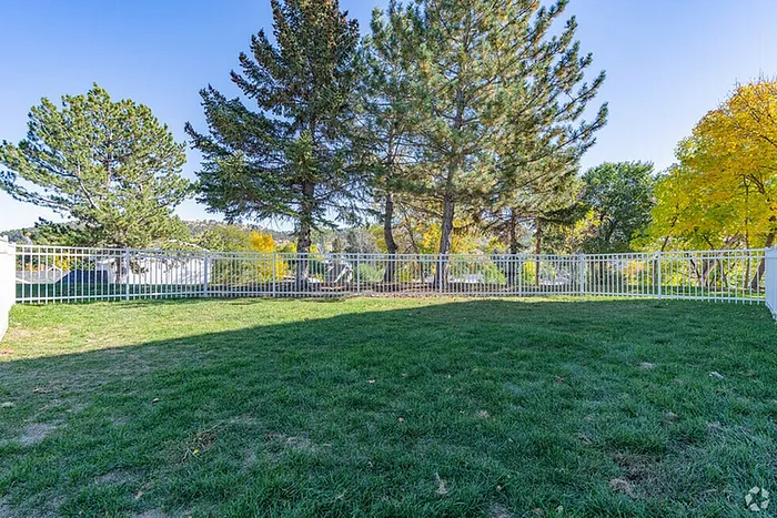 Expansive fenced backyard with lush green grass and tall trees, perfect for outdoor relaxation and entertainment.