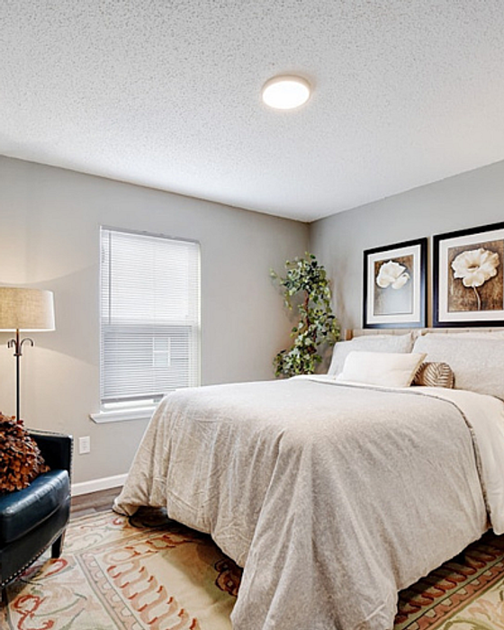 Bright and cozy bedroom with a comfortable bed, elegant decor, and natural light from a large window.