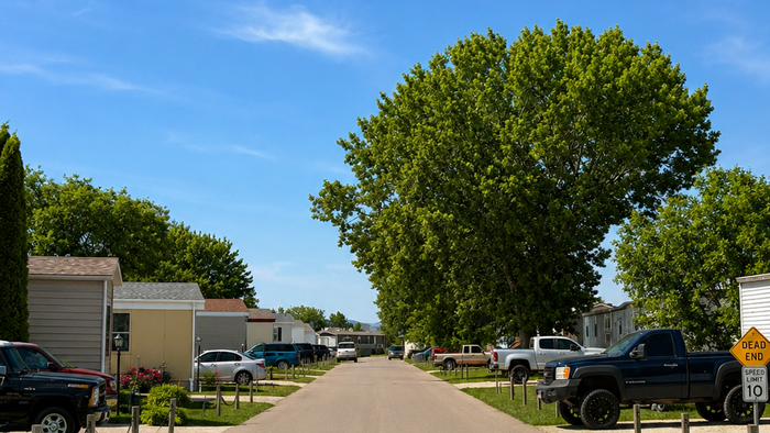 Charming suburban street lined with mobile homes, lush greenery, and neatly parked cars under a bright blue sky.