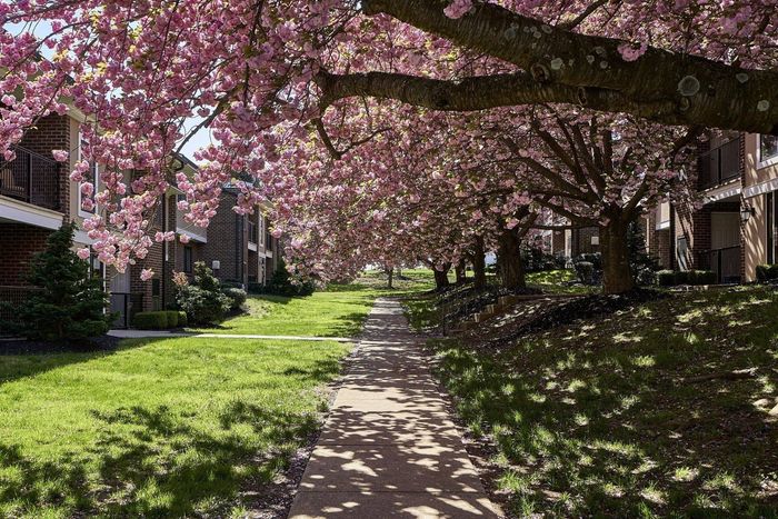 Goshen Terrace - West Chester, PA - Walking Path