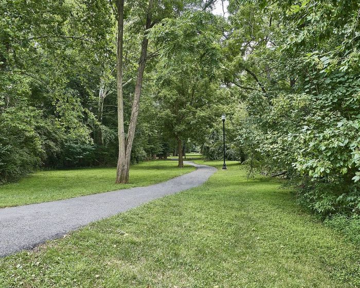 Apartments For Rent In Frederick, MD - Willowdale Crossing - Walking Trail With Well-Maintained Grass, Lush Trees, and Lamp Posts