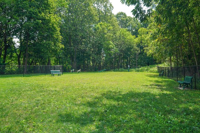 Walton Heights- Altoona, PA, Dog Park