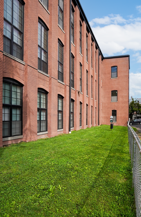 2 BR Apartments in Allentown PA - The Mill - Dog Park Beside Apartment Building with Maintained Grass and Chain-link Fence