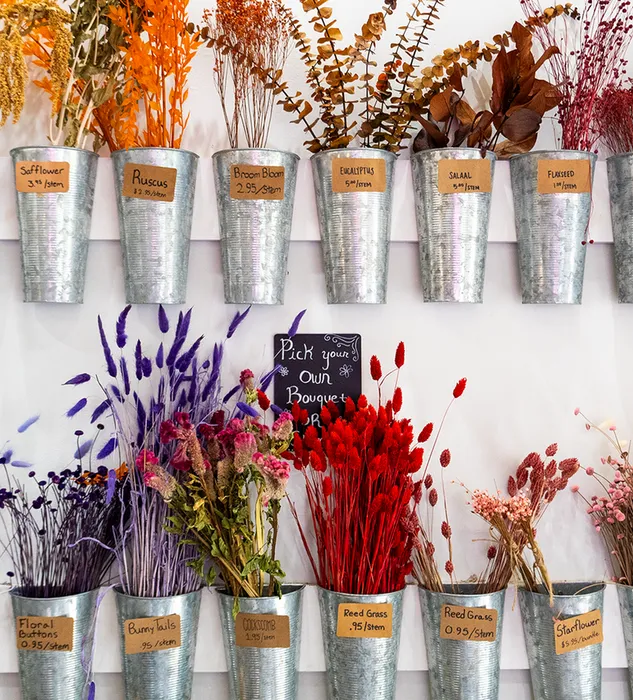 Lancaster Flower Market