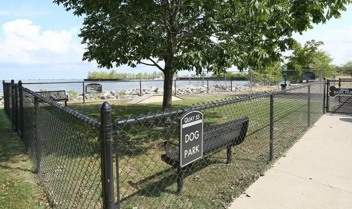 dog park