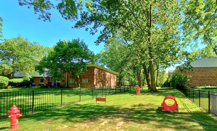 Large lawn of the fenced dog park at Village at Mayfield.