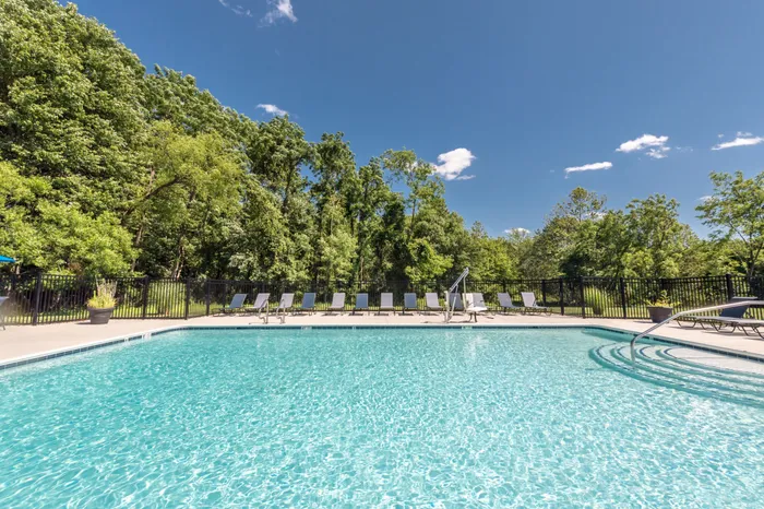 Outdoor swimming pool at Apartments at Bel Air, surrounded by trees.