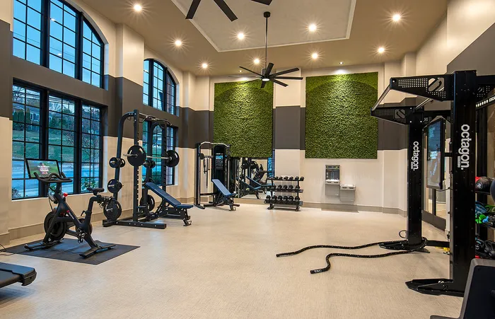 Spacious gym with modern exercise equipment, large windows, and stylish green wall panels.