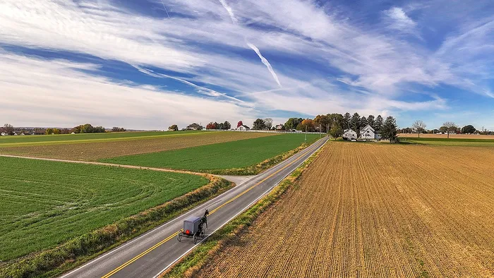 Picturesque rural landscape with a horse-drawn buggy on a country road alongside vast fields under a blue sky.