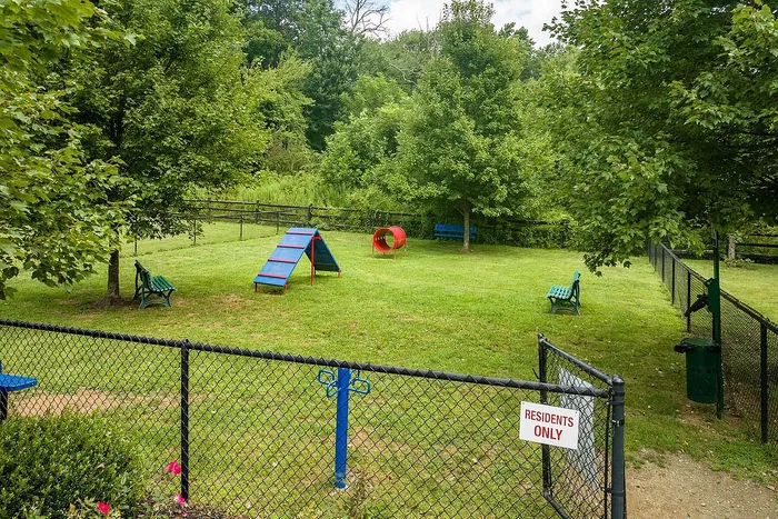 Vibrant community dog park with agility equipment and lush green surroundings.