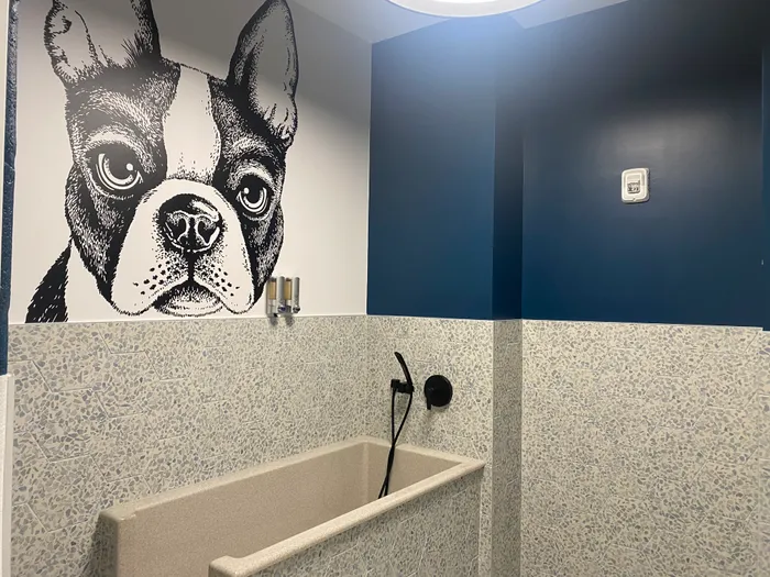 Chic pet-friendly bathroom with a stylish dog mural, elegant blue walls, and a modern wash area, perfect for pampering your furry friend.