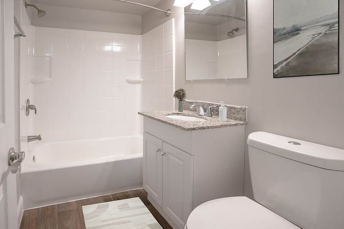 Elegant bathroom with modern fixtures, featuring a spacious bathtub, sleek vanity with granite countertop, and stylish wall art.