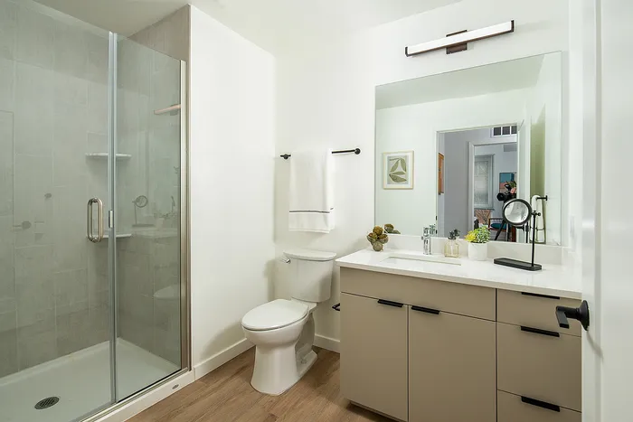 Modern bathroom with sleek glass shower, stylish vanity, and elegant decor, offering a bright and luxurious feel.