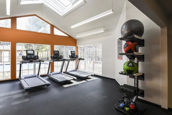 Modern fitness center with state-of-the-art treadmills and vibrant exercise equipment, illuminated by natural light from large windows.