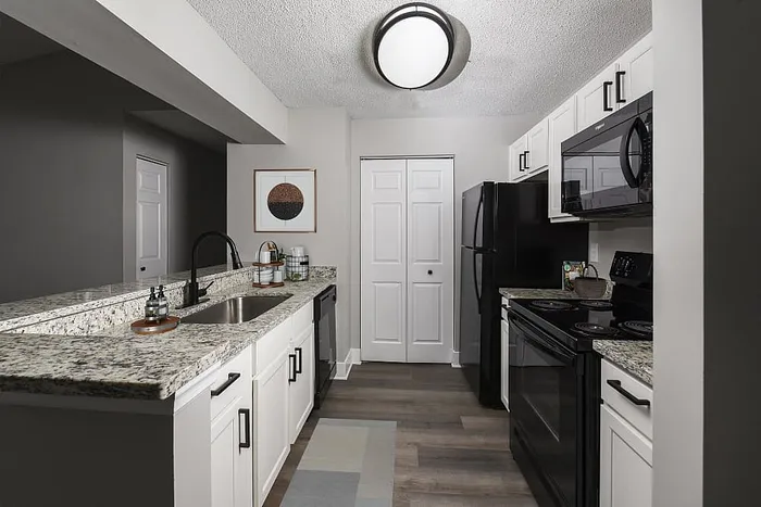 Modern kitchen with sleek granite countertops, elegant lighting, and state-of-the-art black appliances offering a chic and functional cooking space.
