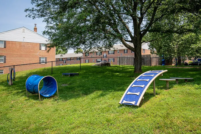 Charming and vibrant outdoor play area with colorful climbing structures, nestled in a lush green lawn, perfect for family fun and relaxation.