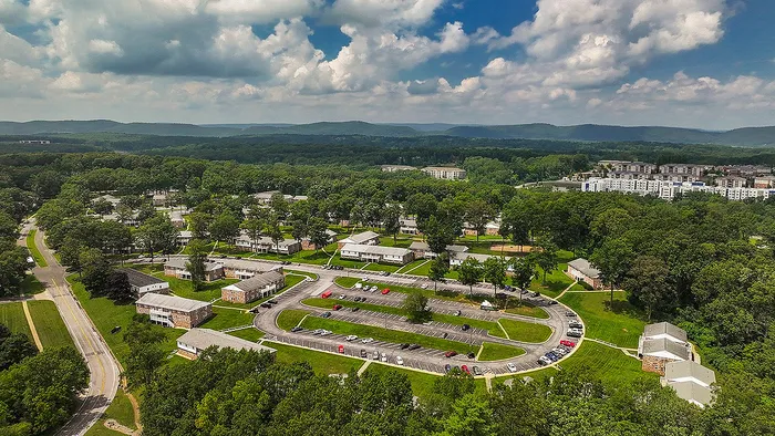 Aerial view of charming residential community nestled among lush greenery and scenic mountains, offering a peaceful suburban lifestyle.