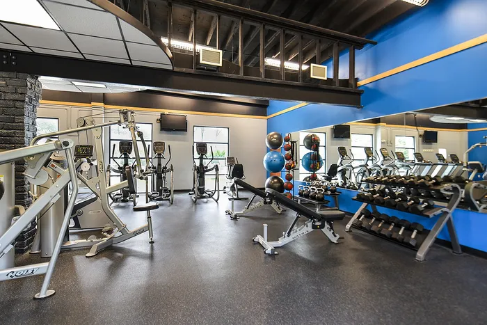 Modern fitness center with state-of-the-art equipment, including treadmills, weight benches, and free weights, set in a spacious and vibrant environment.