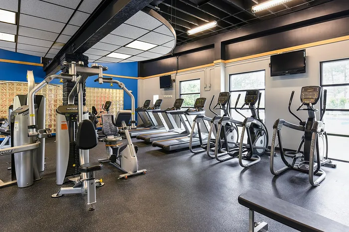 Modern fitness center with state-of-the-art cardio machines and strength training equipment, designed for an energizing workout experience.