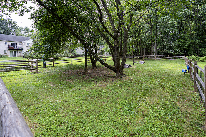Charming residential backyard with lush green grass, mature trees, and a wooden fence under a tranquil setting.
