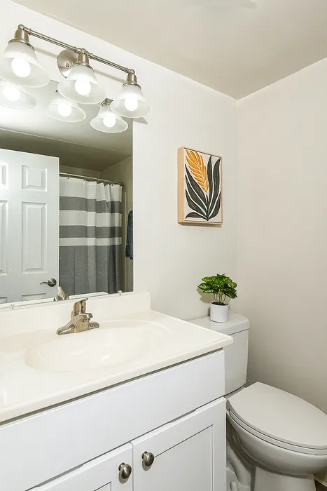 Bright and inviting bathroom with modern fixtures, featuring elegant lighting, artistic wall decor, and a touch of greenery for a fresh ambiance.