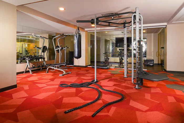 Modern gym with vibrant red carpet, equipped with a punching bag, resistance ropes, and strength training machines.