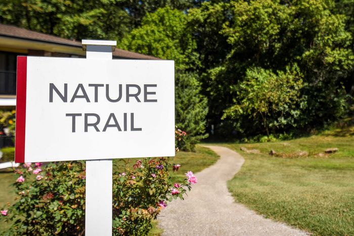 Inviting nature trail entrance with vibrant greenery and blooming flowers, perfect for a tranquil outdoor escape.