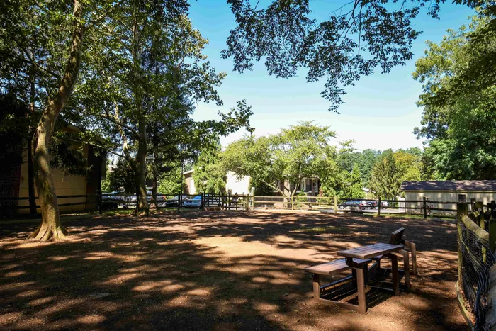 Bark Park