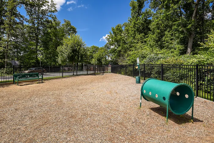 Vibrant outdoor pet play area surrounded by lush trees and bright blue sky, featuring a green tunnel for playful exploration.