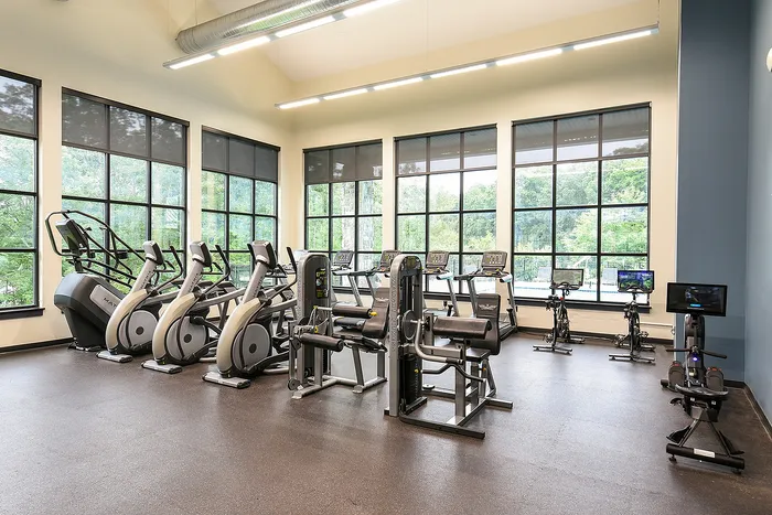 Modern fitness center with large windows featuring ellipticals, exercise bikes, and strength training equipment.