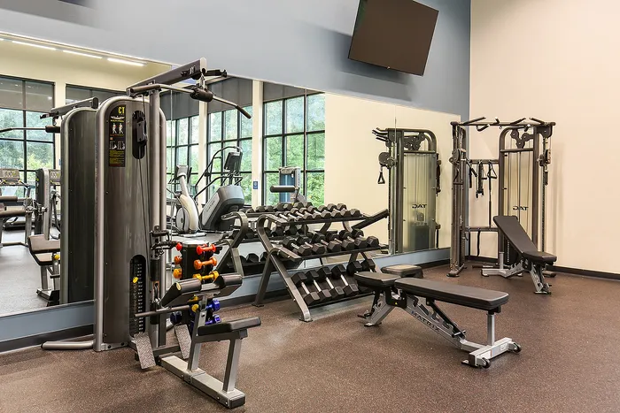 Modern gym interior featuring state-of-the-art workout equipment and stylish decor, perfect for an invigorating fitness experience.