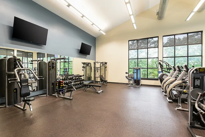 Modern fitness center featuring state-of-the-art gym equipment, sleek design, and large windows with scenic views.