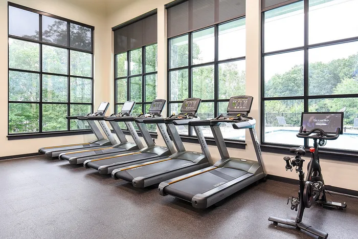 Bright and airy gym with modern treadmills and stationary bike set against large windows overlooking lush greenery.