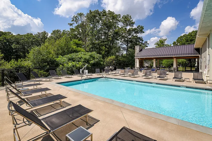 Inviting outdoor swimming pool area with modern lounge chairs and lush greenery, offering a relaxing retreat under a clear blue sky.