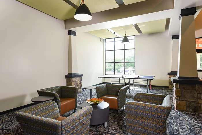 Inviting communal lounge with cozy patterned seating, elegant lighting fixtures, and abundant natural light through large windows.