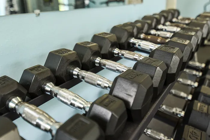 Well-equipped gym featuring a row of sleek black dumbbells with polished grips, perfect for fitness enthusiasts.