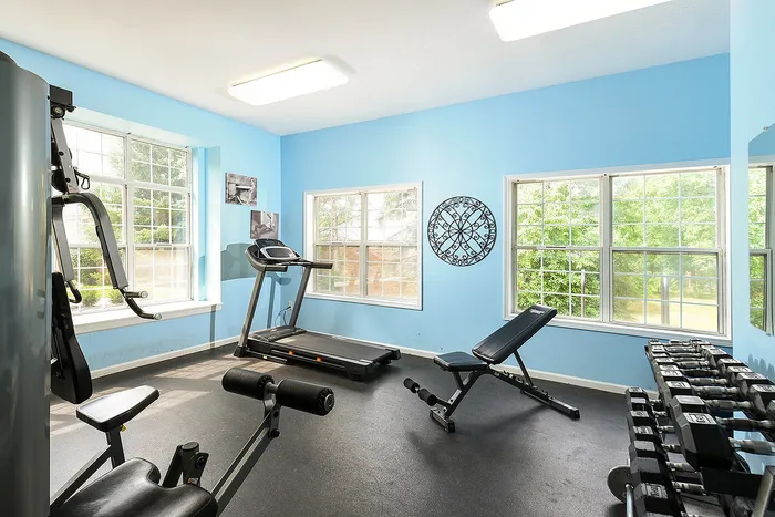 Bright and inviting home gym with large windows, featuring modern exercise equipment and a serene view of greenery.