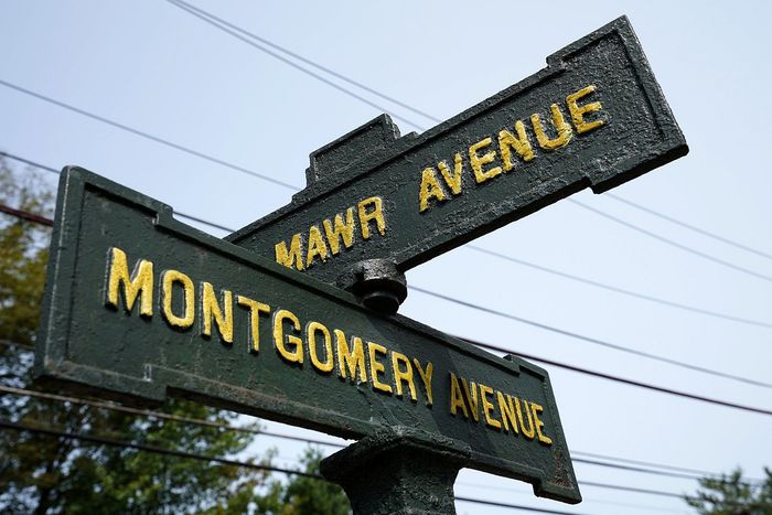 Charming intersection signage of Mawr Avenue and Montgomery Avenue set against a clear sky and lush greenery.