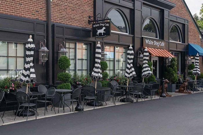 Charming outdoor seating at White Dog Caf&eacute; featuring elegant black tables, striped umbrellas, and lush greenery.