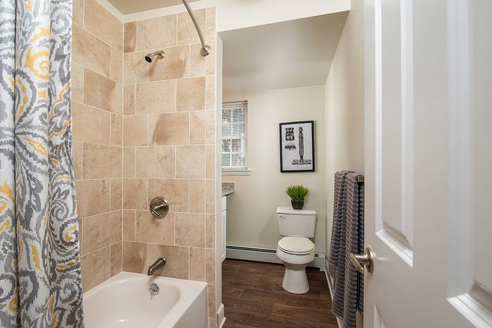 Charming bathroom with elegant tile shower, decorative curtain, and stylish decor, inviting relaxation.