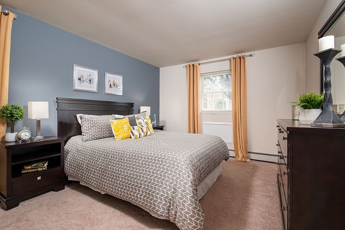 Cozy and stylish bedroom with elegant decor, featuring a plush bed with geometric bedding, warm lighting, and a refreshing touch of green plants.