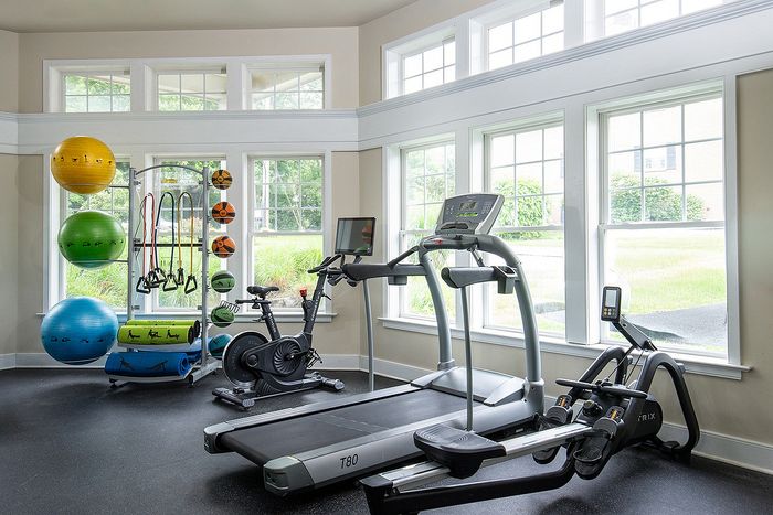 Bright and modern fitness center featuring state-of-the-art equipment, including a treadmill, exercise bike, rowing machine, and a selection of colorful exercise balls with sunlit windows offering a refreshing view.