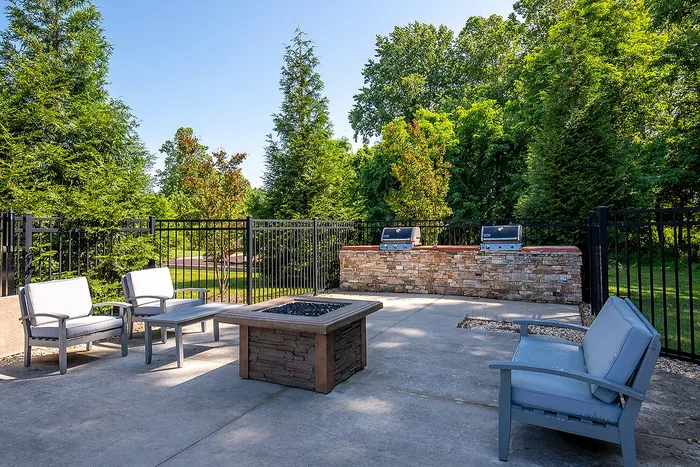 Inviting outdoor patio with comfortable seating, fire pit, and dual barbecue grills, surrounded by lush greenery.
